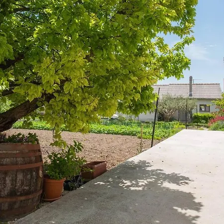 Guest House Studio Apartment Apartament *
