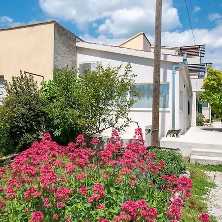 Guest House Studio Apartment Apartament
